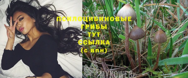 кокаин перу Алексеевка